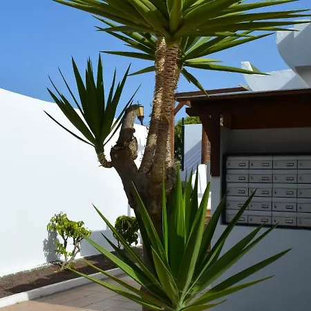 Apartment Dunasol 341 By Holidays Fuerteventura Corralejo