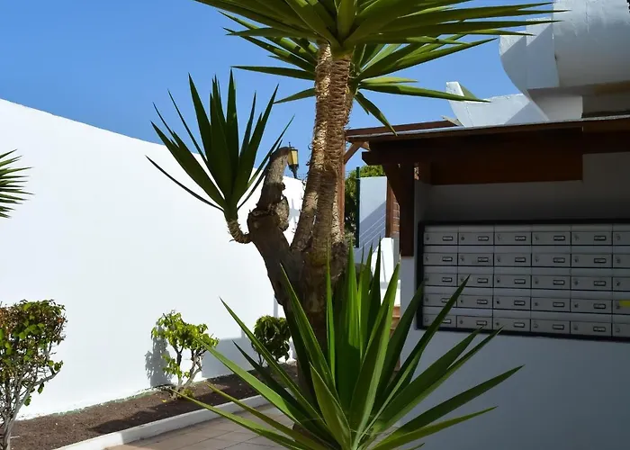 Apartman Dunasol 341 By Holidays Fuerteventura Corralejo